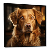 Dog Golden Grace - Brown Dog Wall Art