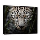 Jungle Leopard Stalk - Leopard Framed Canvas Art