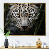 Jungle Leopard Stalk - Leopard Framed Canvas Art