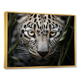 Jungle Leopard Stalk - Leopard Framed Canvas Art
