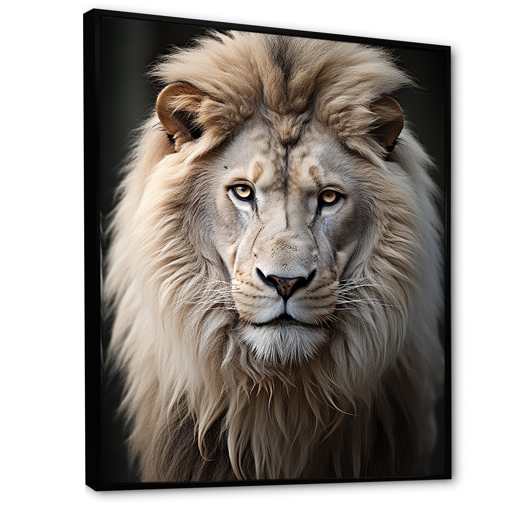 Lions Monochrome Photography - Lion Canvas Wall Art