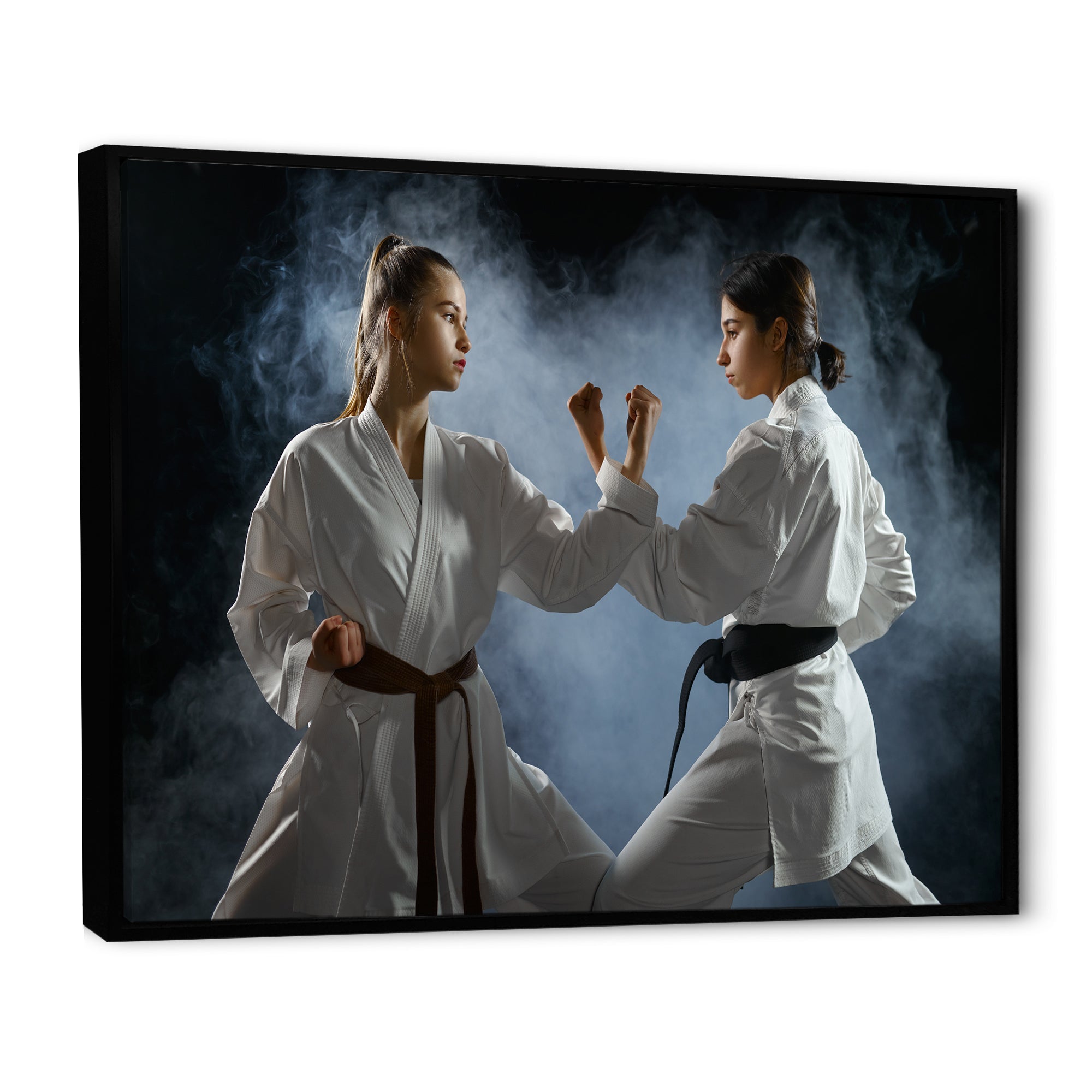 Women Martial Arts Fight Training Studio - Martial Arts Canvas Wall Art