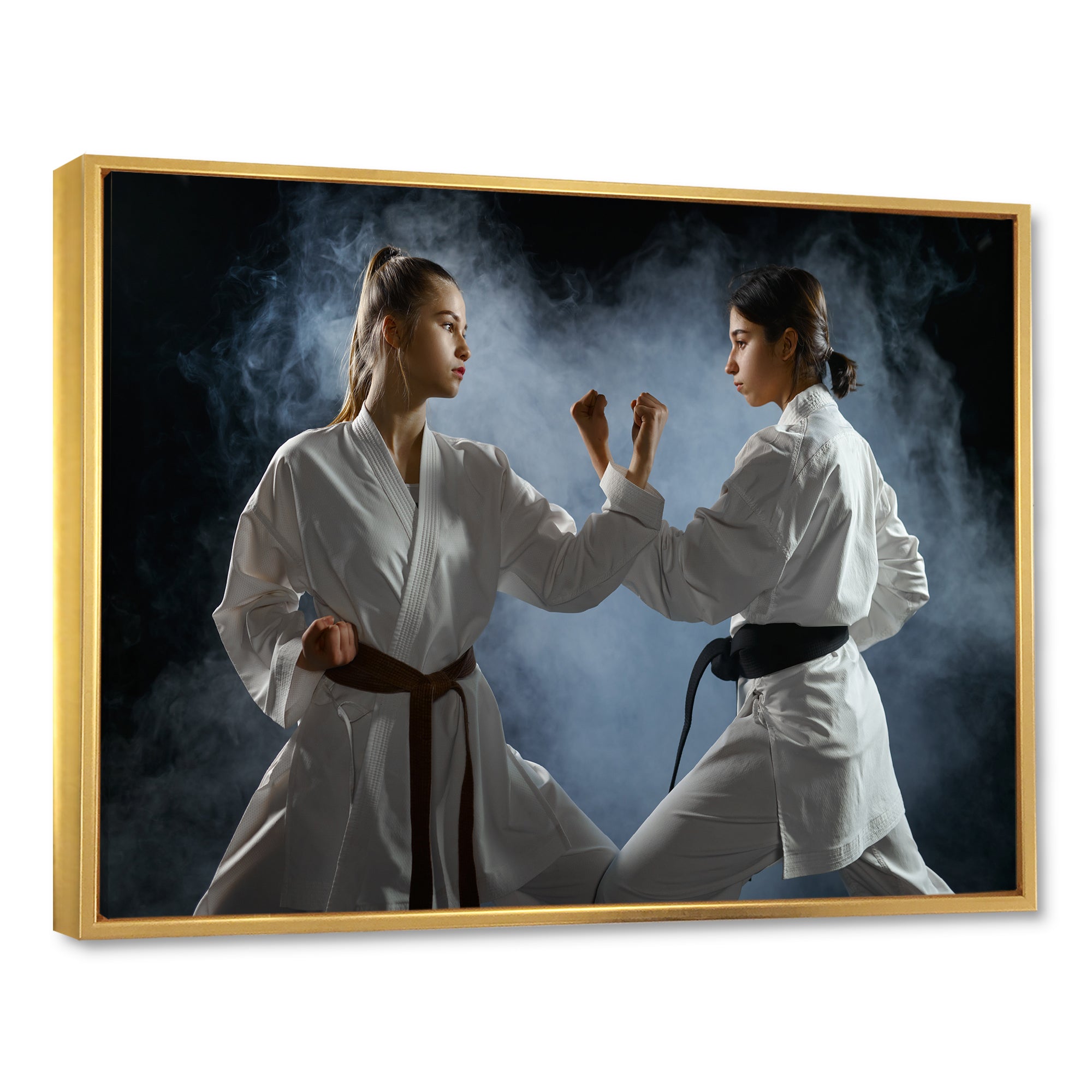 Women Martial Arts Fight Training Studio - Martial Arts Canvas Wall Art