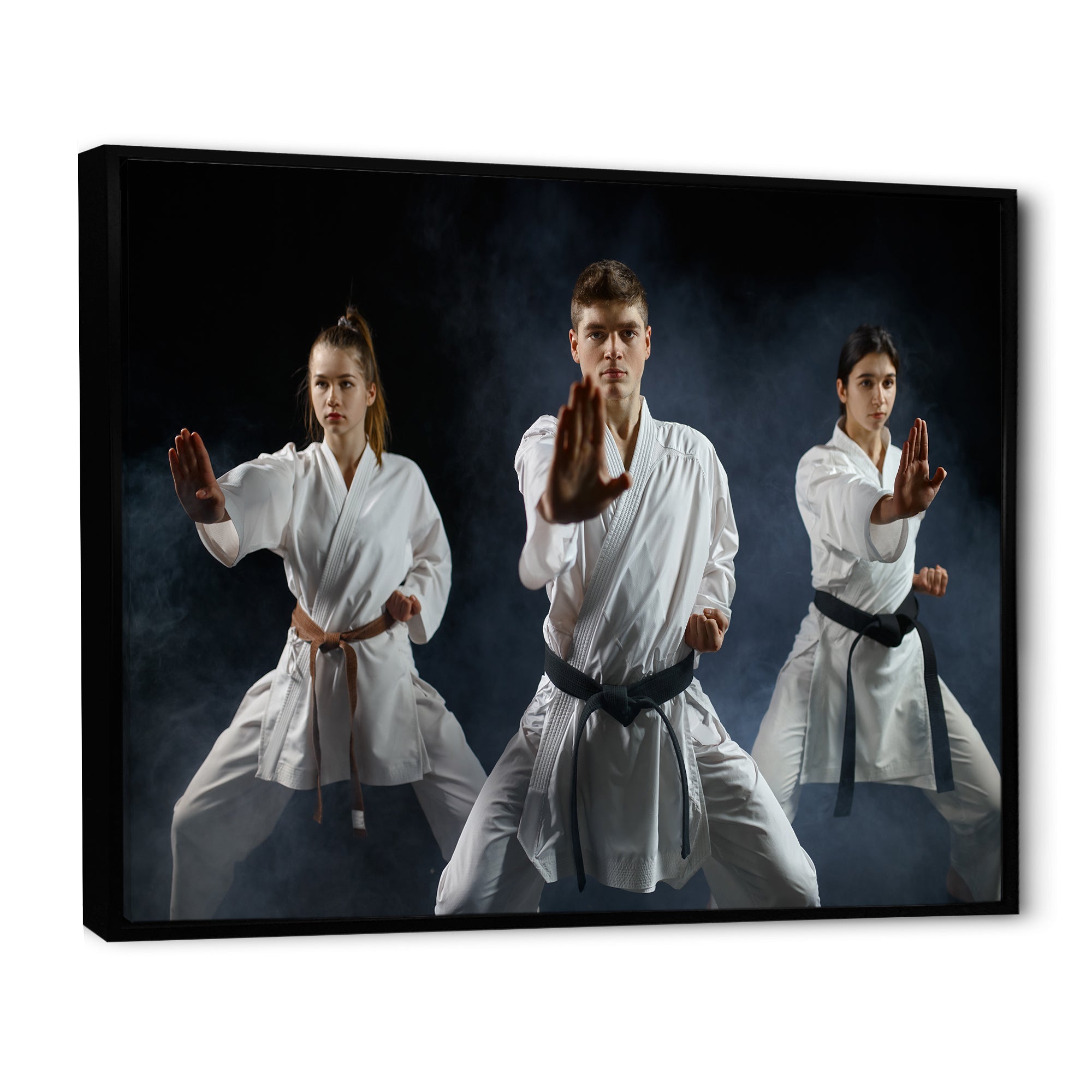Martial Arts Fight Training Studio - Martial Arts Canvas Wall Art