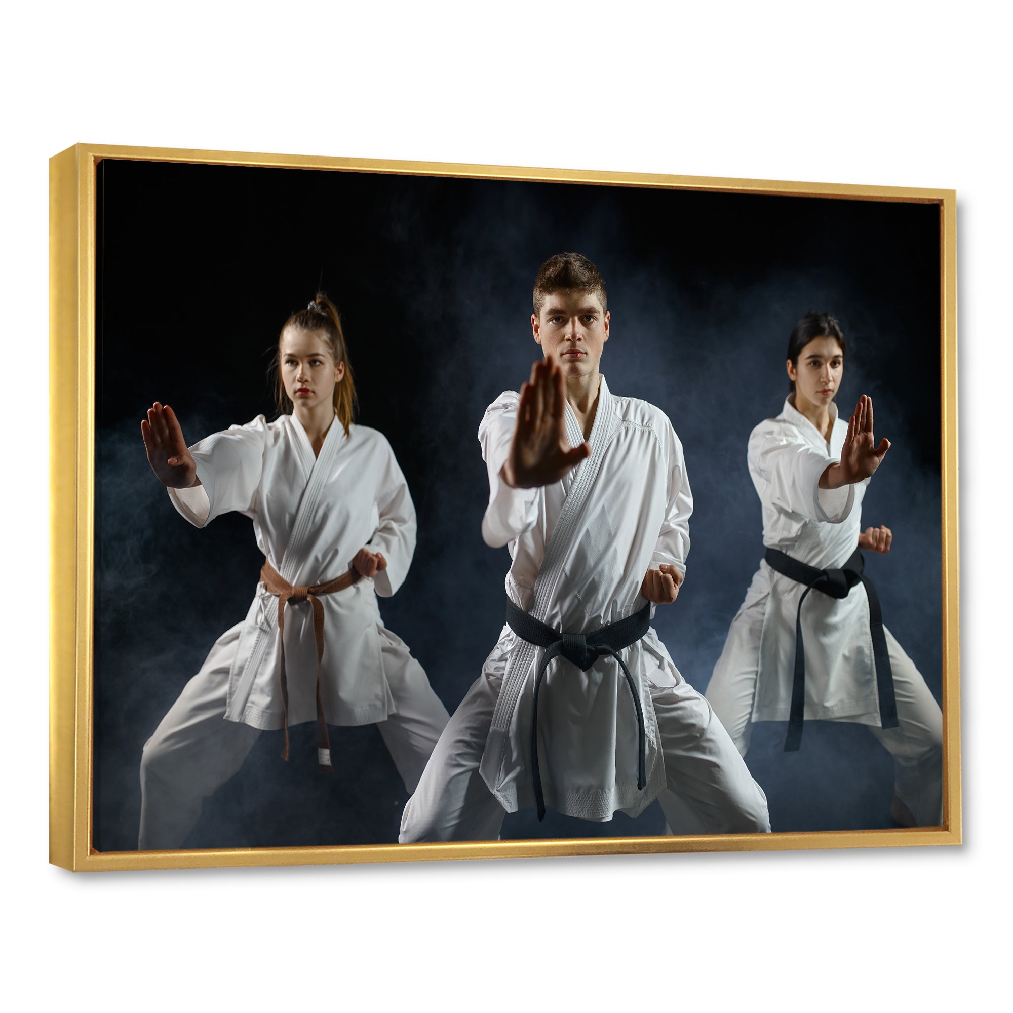 Martial Arts Fight Training Studio - Martial Arts Canvas Wall Art