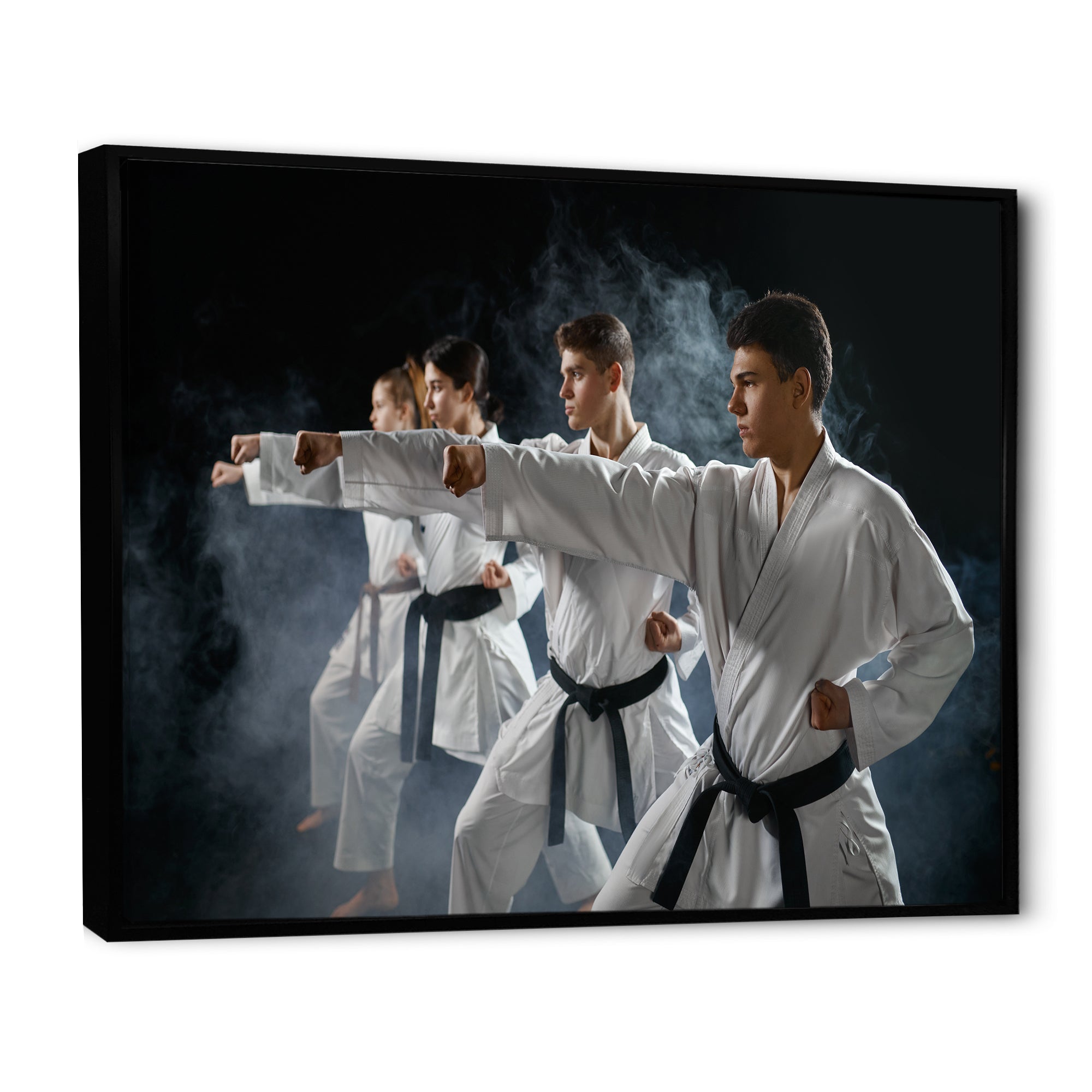 Martial Arts Fight Training Studio I - Martial Arts Canvas Wall Art