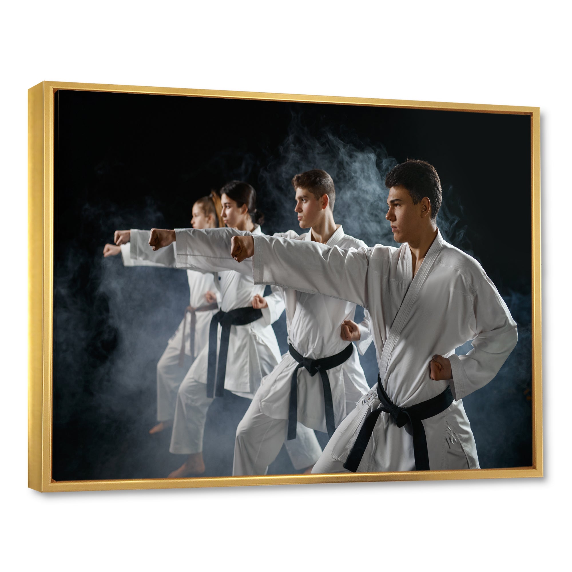 Martial Arts Fight Training Studio I - Martial Arts Canvas Wall Art