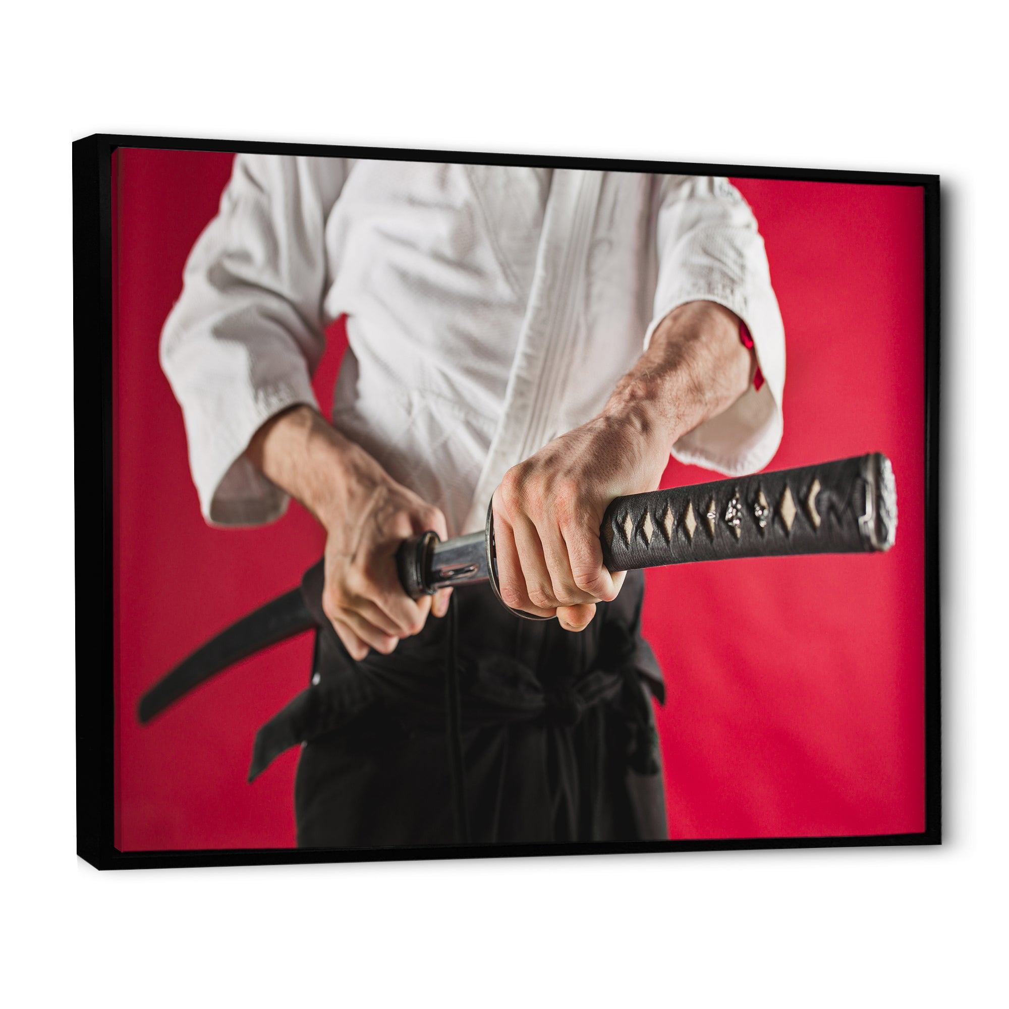 Man Training Aikido Martial Arts Studio - Martial Arts Canvas Wall Art