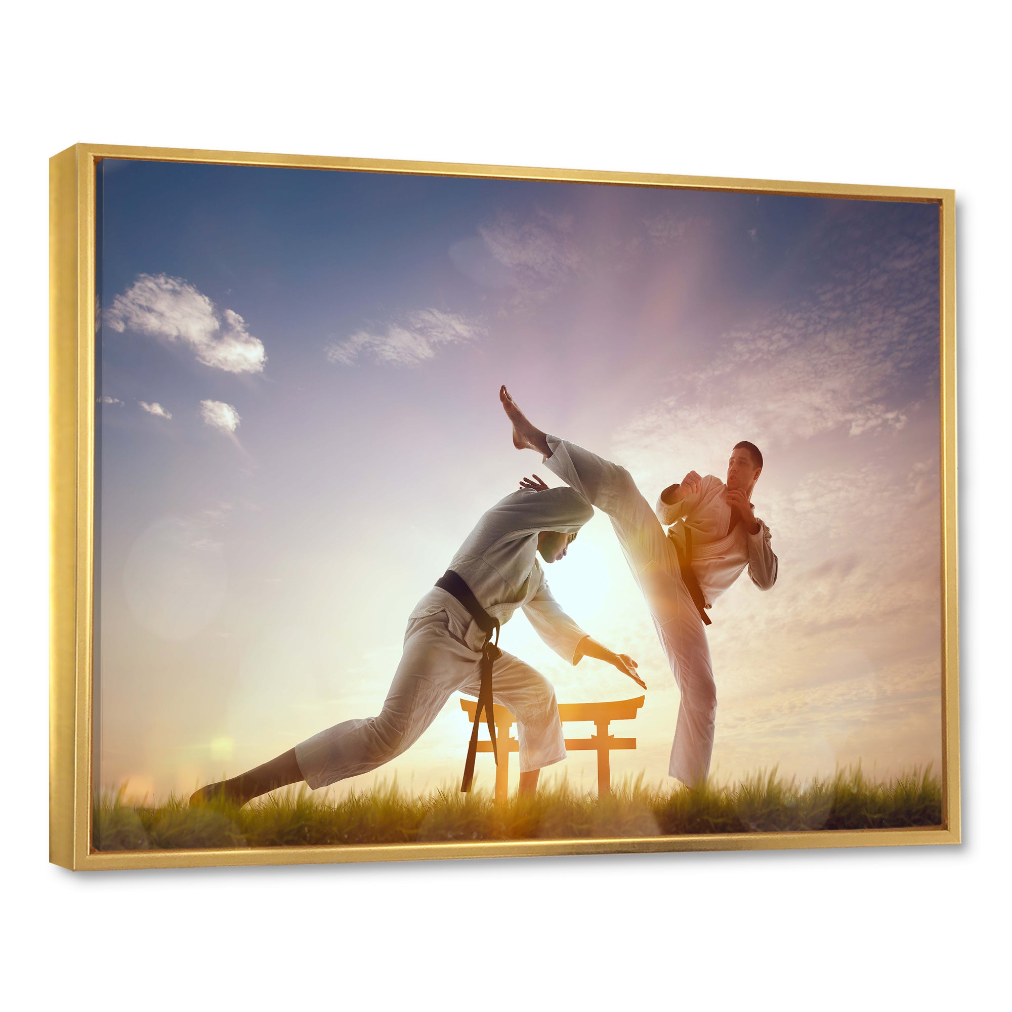 Martial Arts Karate Fighters Outdoors - Martial Arts Canvas Wall Art