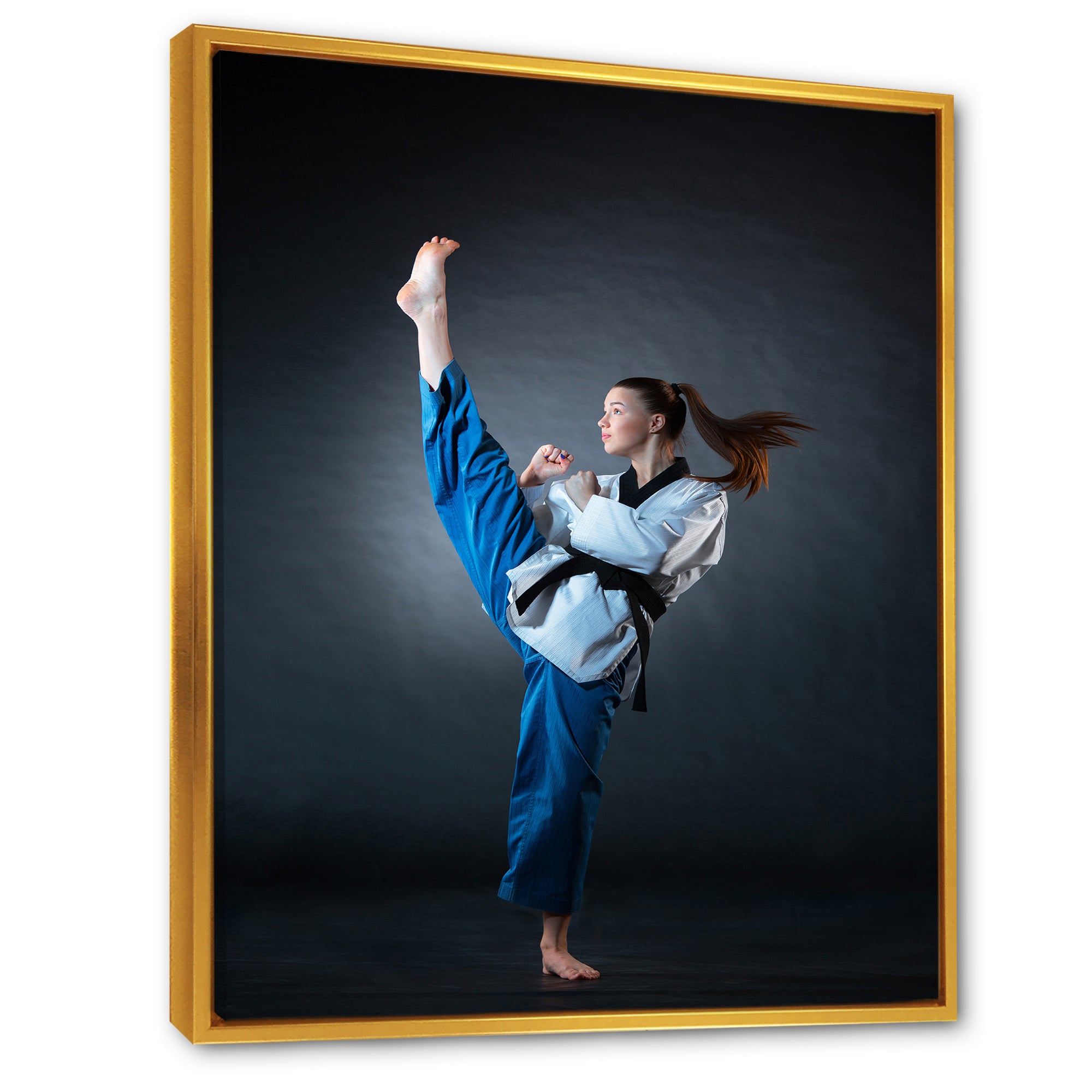 Karate Kick Black Belt - Martial Arts Canvas Wall Art