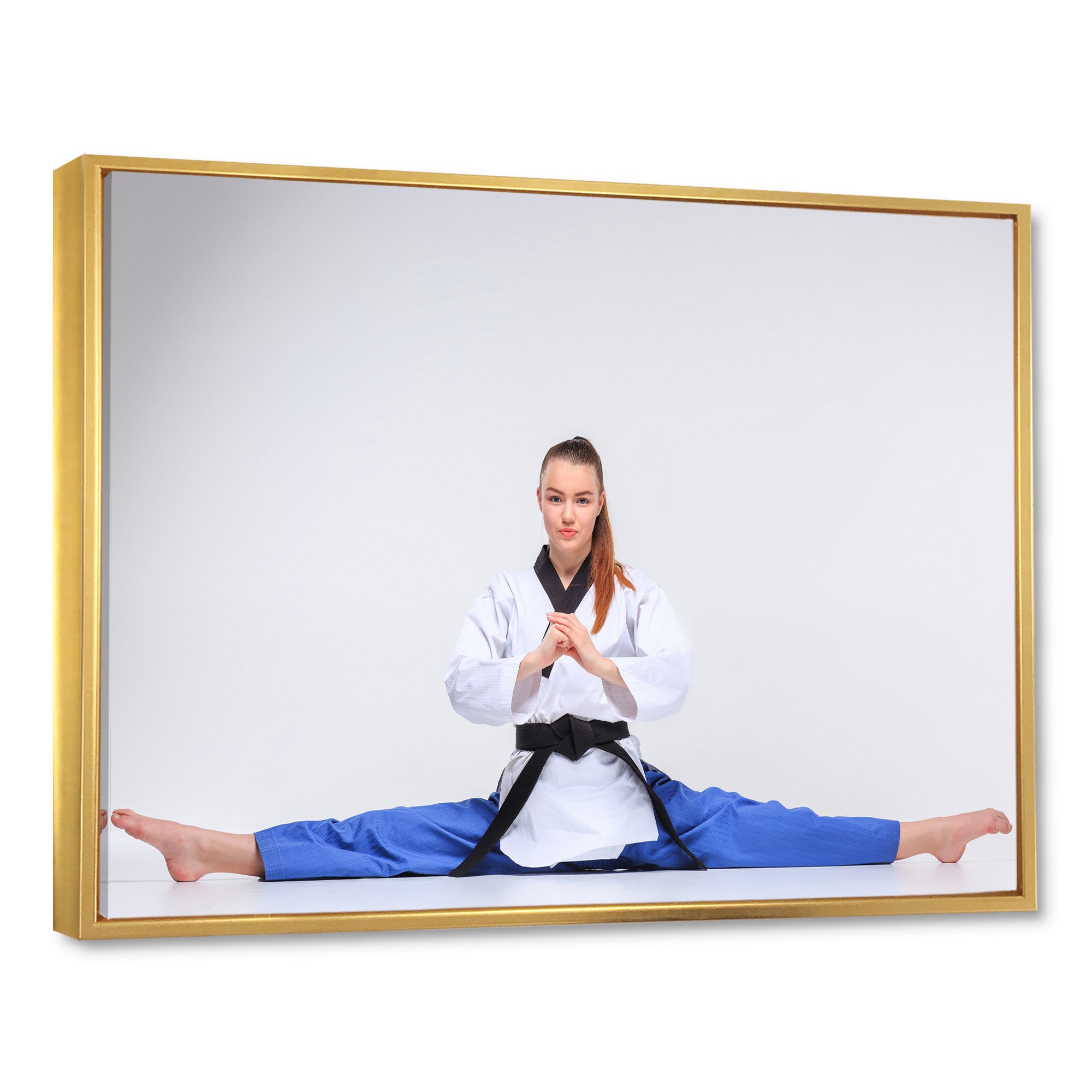 Karate Black Belt - Martial Arts Canvas Wall Art