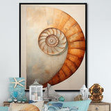 Copper Curves Nautilus Spiral - Nautilus Wall Decor