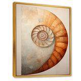 Copper Curves Nautilus Spiral - Nautilus Wall Decor