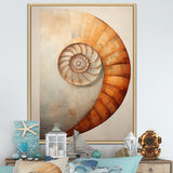 Copper Curves Nautilus Spiral - Nautilus Wall Decor