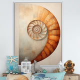 Copper Curves Nautilus Spiral - Nautilus Wall Decor