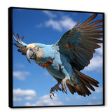 Parrots Wings Of Beauty - Parrot Framed Canvas Art