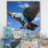 Parrots Wings Of Beauty - Parrot Framed Canvas Art