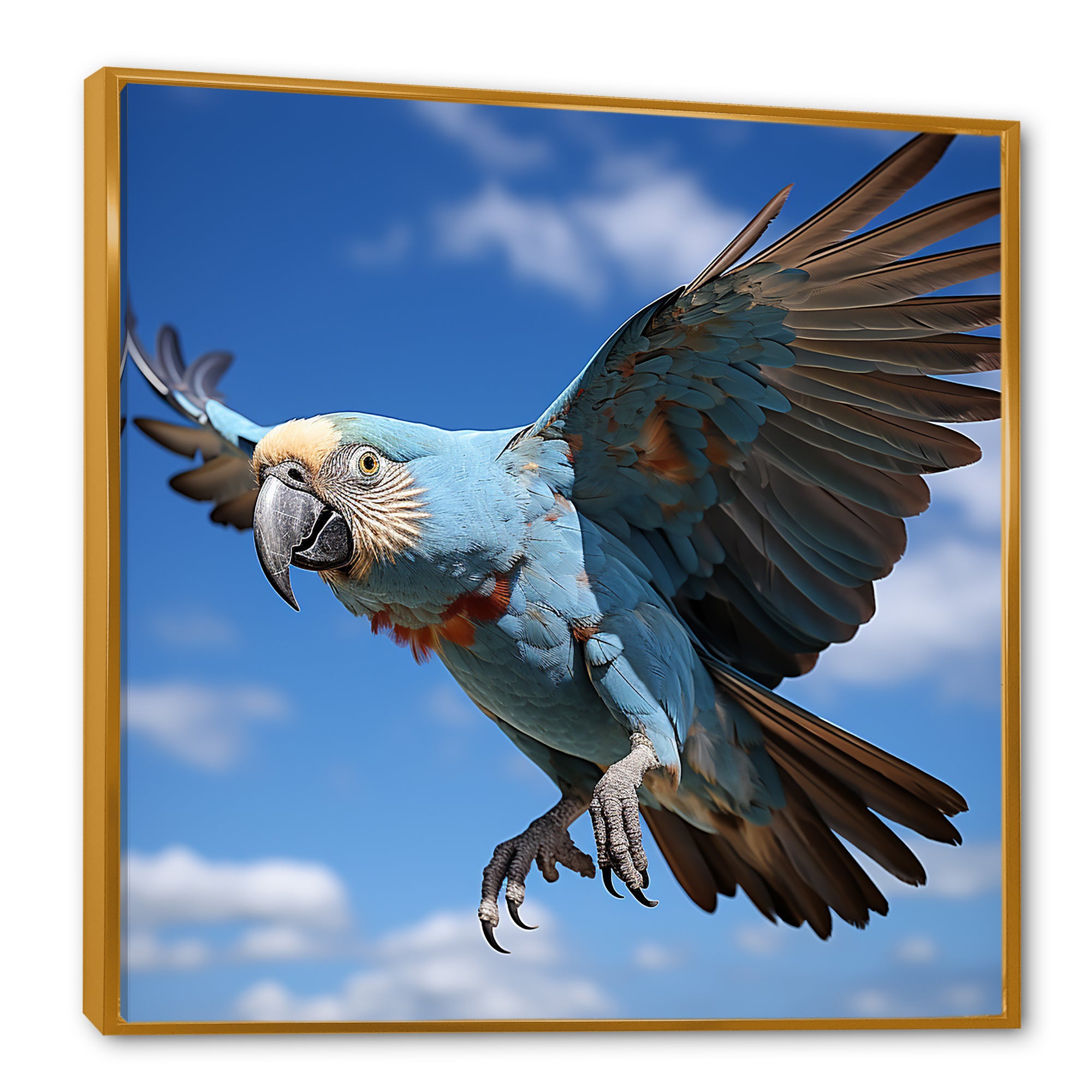 Parrots Wings Of Beauty - Parrot Framed Canvas Art