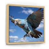 Parrots Wings Of Beauty - Parrot Framed Canvas Art