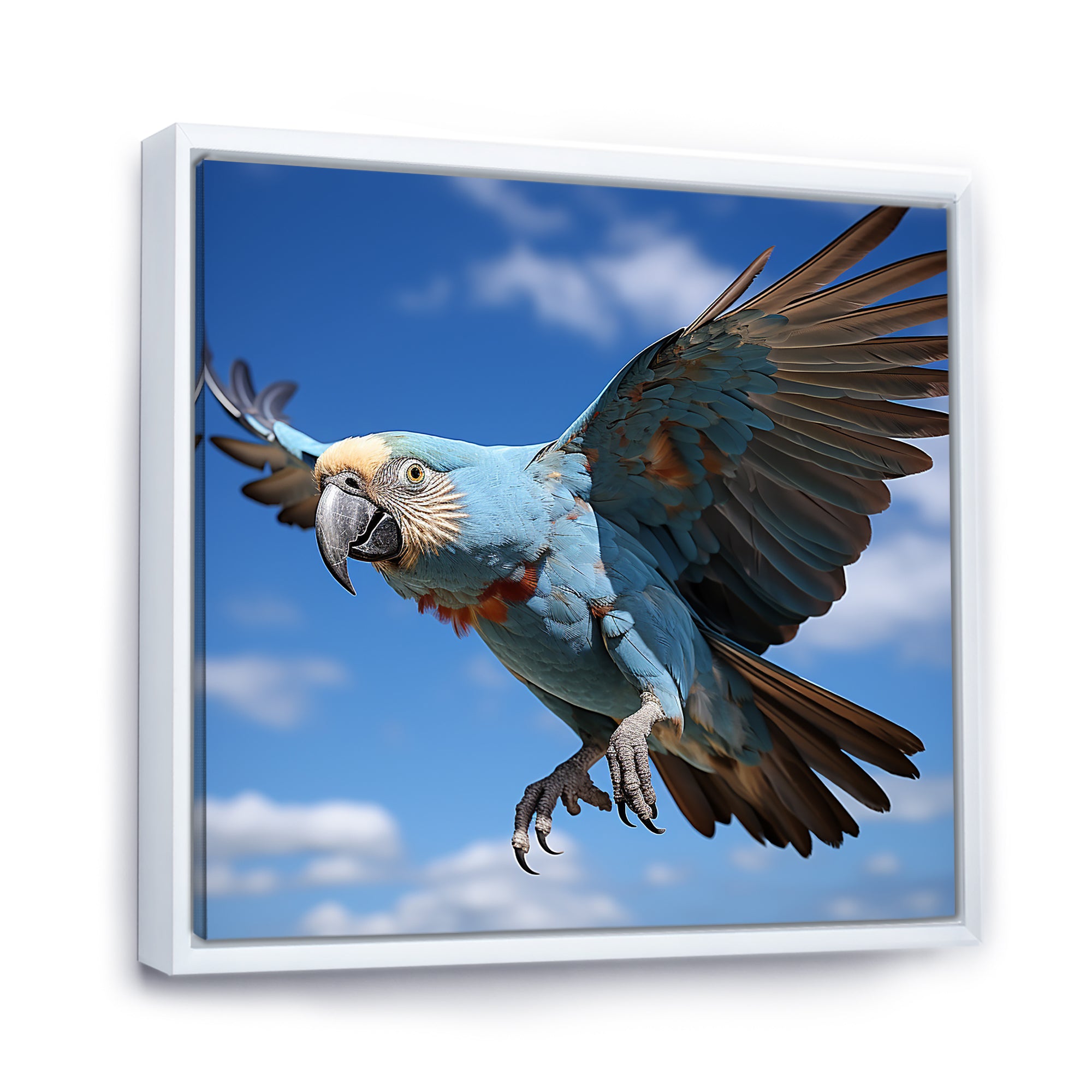 Parrots Wings Of Beauty - Parrot Framed Canvas Art
