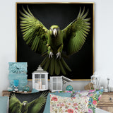 Eternal Winged Elegance - Green Parrot Wall Art