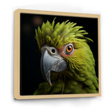 Green Eternal Feathered Vibrance - Parrot Framed Canvas Art