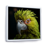 Green Eternal Feathered Vibrance - Parrot Framed Canvas Art