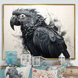 Grey Parrot Feathered Elegance - Gray Parrot Wall Art