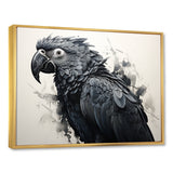Grey Parrot Feathered Elegance - Gray Parrot Wall Art