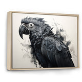Grey Parrot Feathered Elegance - Gray Parrot Wall Art