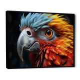 Red And Yellow Mystical Plumage Tropical Rhapsody - Parrot Bedroom Wall Art