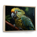 Green And Yellow Parrots Rainforest Chorus - Parrot Wall Art Prints