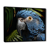 Parrots Sapphire Skies Tropical Forest - Blue Parrot Wall Art