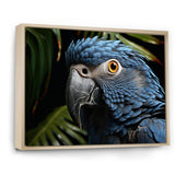 Parrots Sapphire Skies Tropical Forest - Blue Parrot Wall Art