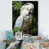 Cockatoo S Tropical Haven - Parrot Wall Decor
