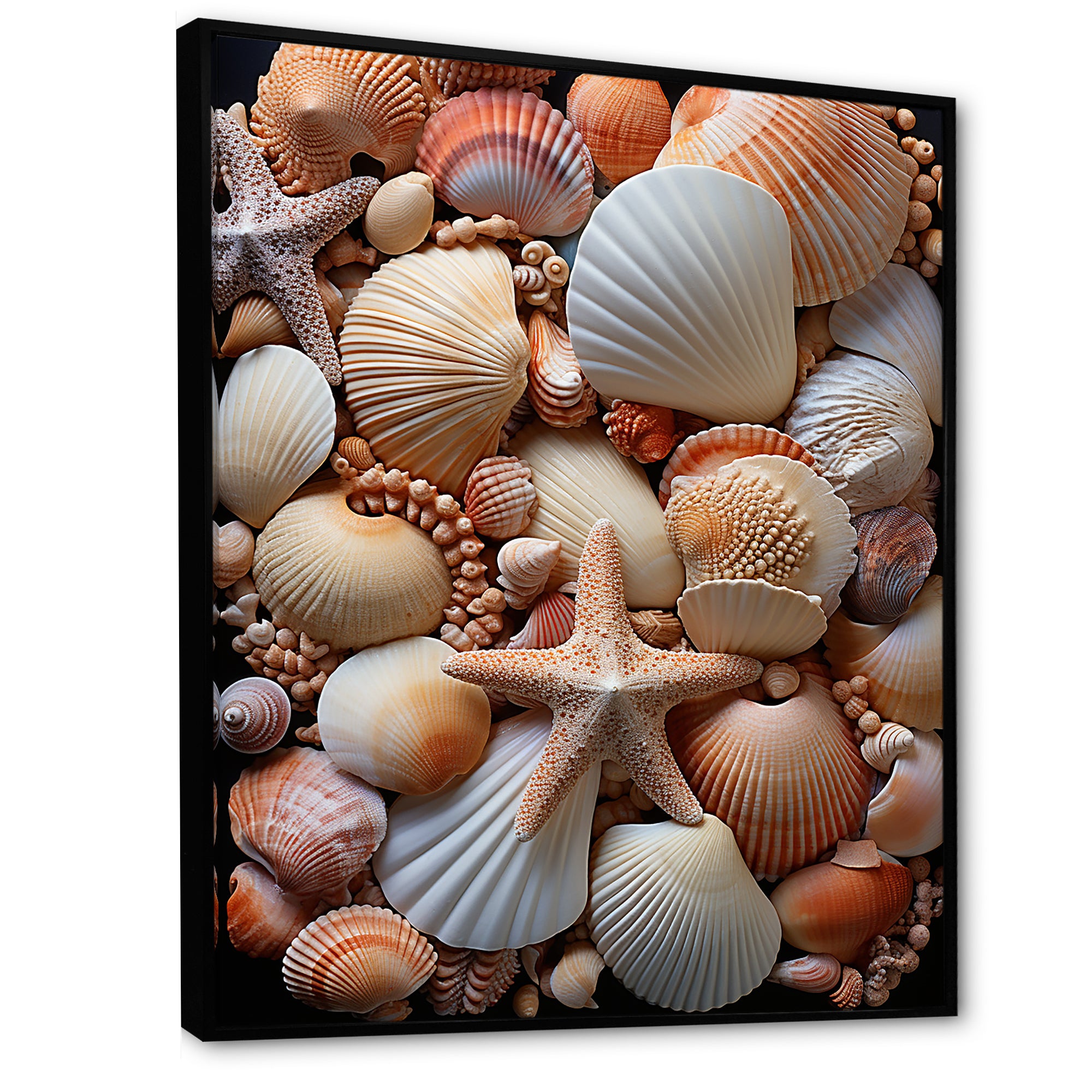 Classic Seashells By The Sea - Seashell Large Canvas Wall Art