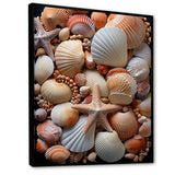 Classic Seashells By The Sea - Seashell Large Canvas Wall Art