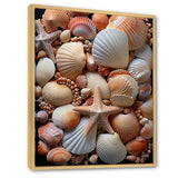 Classic Seashells By The Sea - Seashell Large Canvas Wall Art