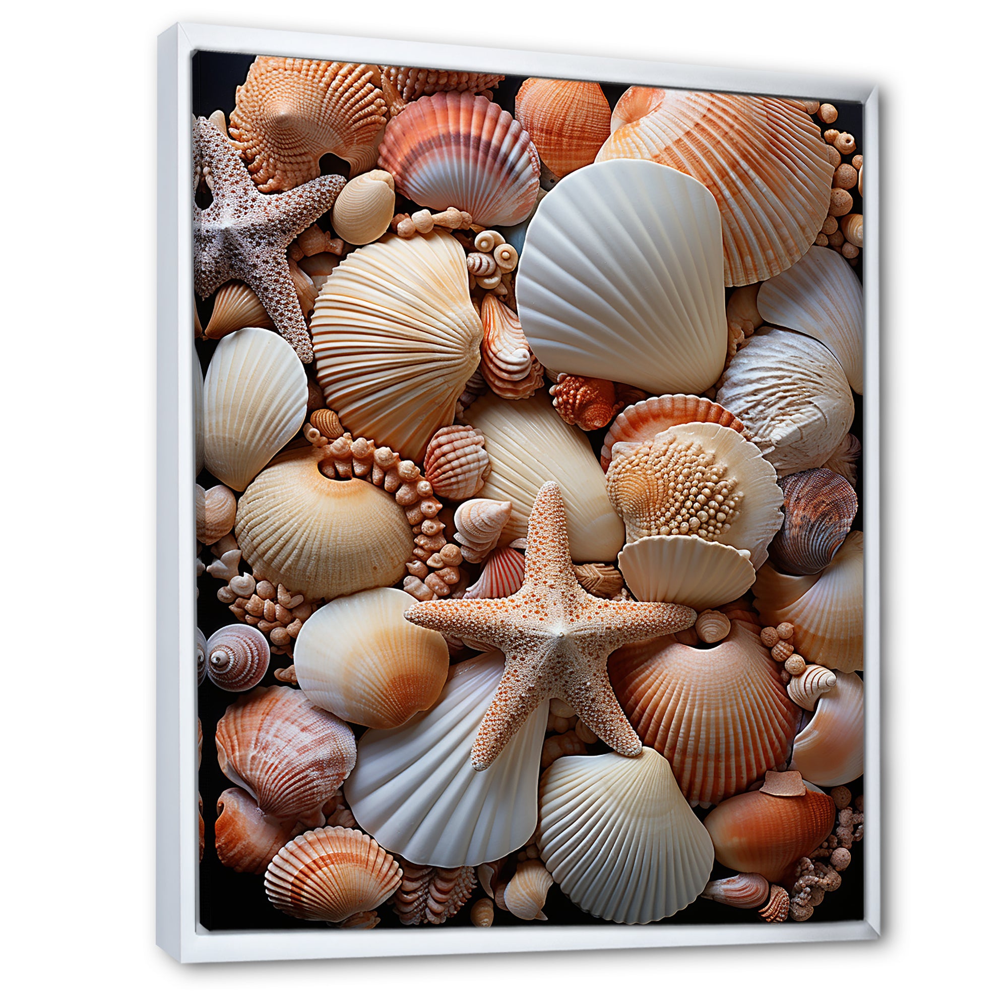 Classic Seashells By The Sea - Seashell Large Canvas Wall Art