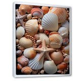 Classic Seashells By The Sea - Seashell Large Canvas Wall Art