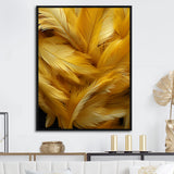 Golden Feather Grin - Feathers Wall Decor