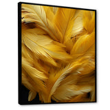 Golden Feather Grin - Feathers Wall Decor