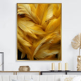 Golden Feather Grin - Feathers Wall Decor