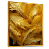 Golden Feather Grin - Feathers Wall Decor