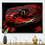 Serpents Stare - Snake Wall Art Prints