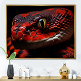 Serpents Stare - Snake Wall Art Prints