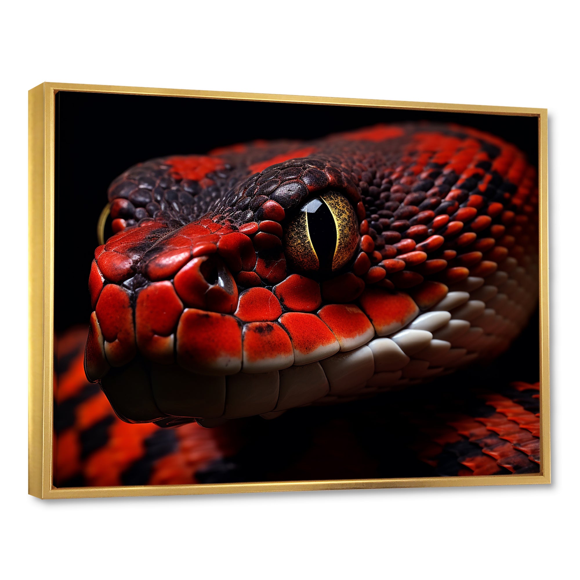 Serpents Stare - Snake Wall Art Prints