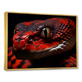 Serpents Stare - Snake Wall Art Prints