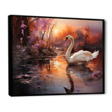 Mystic Dawns Swan - Swans Wall Art Prints