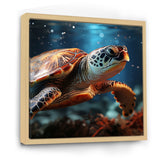 Abstract Harmony - Turtle Bedroom Wall Art